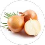 Onion