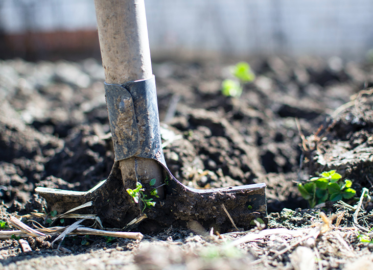 informe-agricultura-ecologica